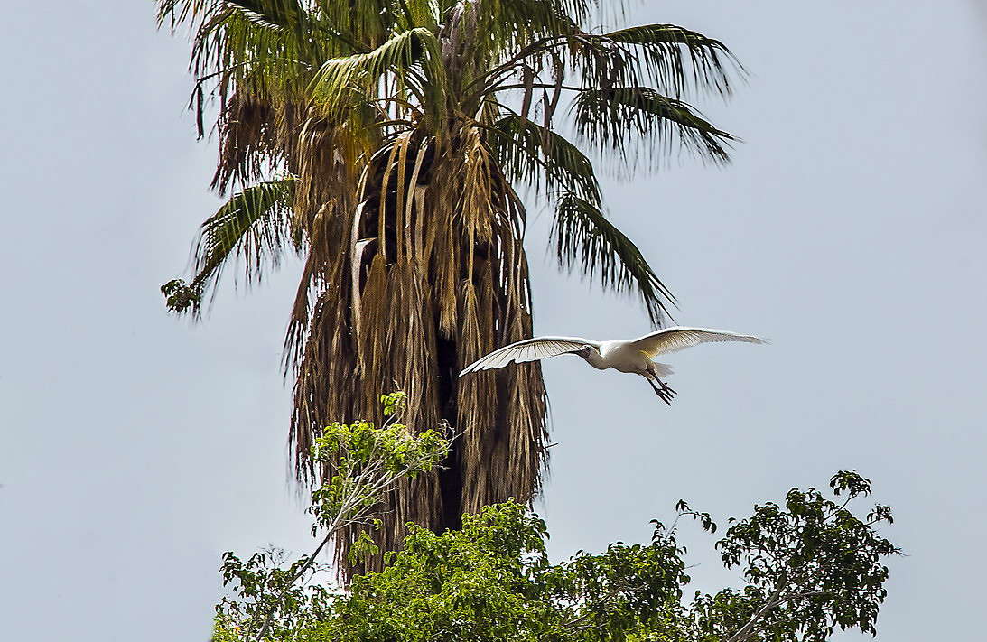 ���� ����� ���������  �� PhotoGeek.ru #�������� ���