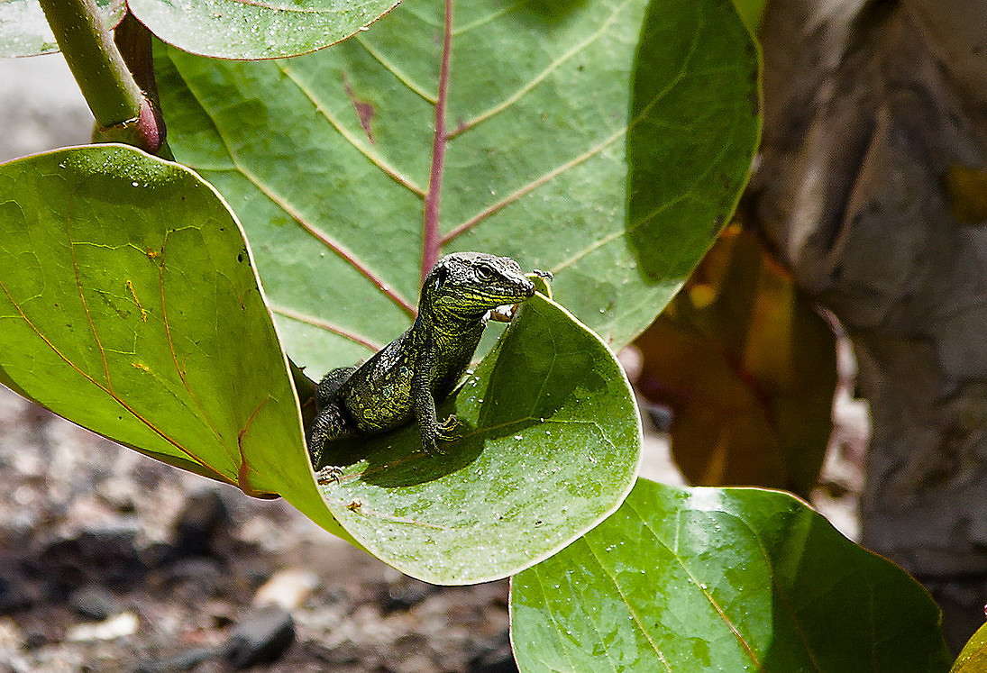 ... ����� ���������  �� PhotoGeek.ru #�������� ���