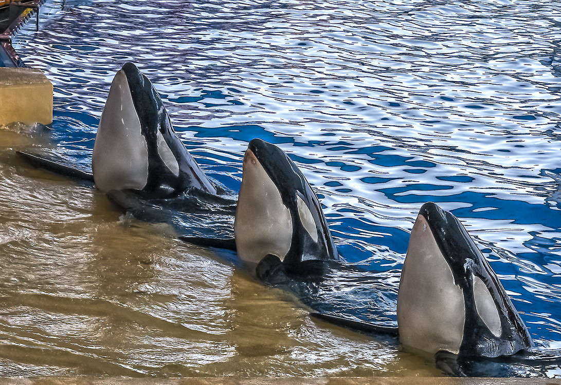 ��� ������ ����� ���������  �� PhotoGeek.ru #�������� ���