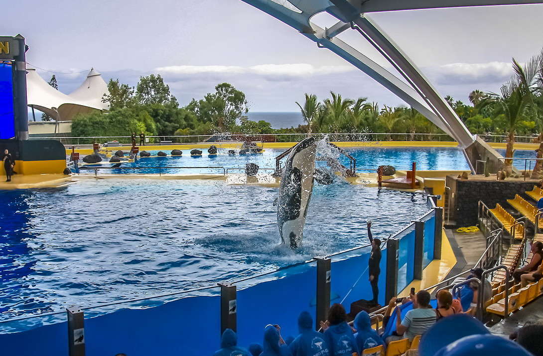 "��� �������". ���� ����. ��������. ����� ���������  �� PhotoGeek.ru #�������� ���