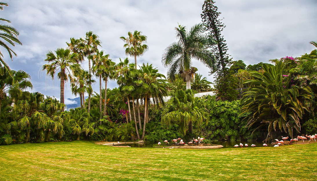 ���� ���� �� �������� ����� ���������  �� PhotoGeek.ru #������ ��� �������