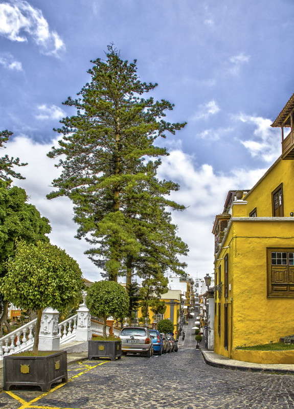 ����-��-���-�����, ������ �������� ����� ���������  �� PhotoGeek.ru #�����