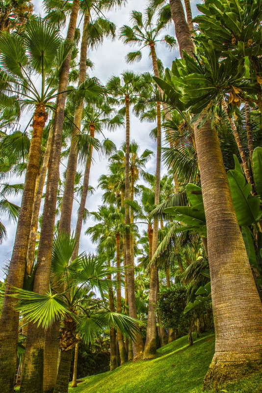 ... ����� ���������  �� PhotoGeek.ru #������ ��� �������