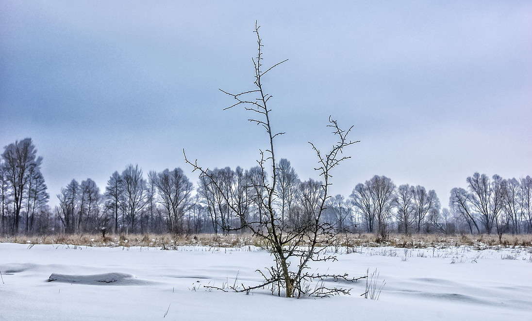 ... ����� ���������  �� PhotoGeek.ru #������ ��� �������