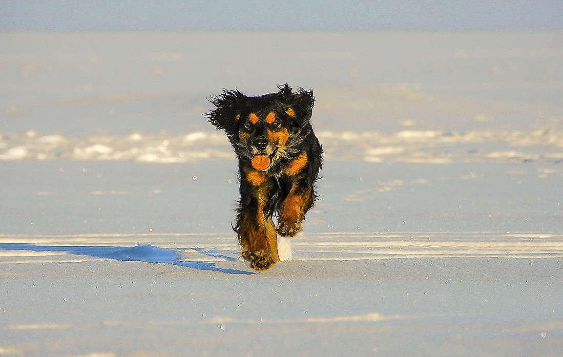 ��� ����� ���������  �� PhotoGeek.ru #�������� ���