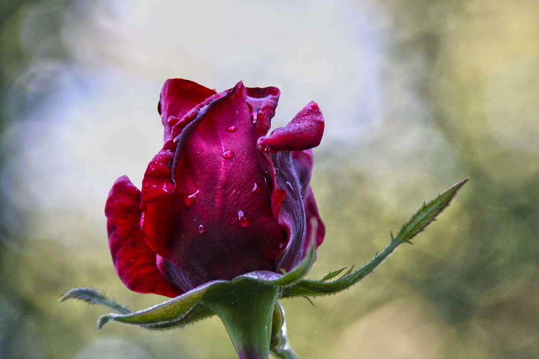 ����� ����� ���������  �� PhotoGeek.ru #������ ��� �������