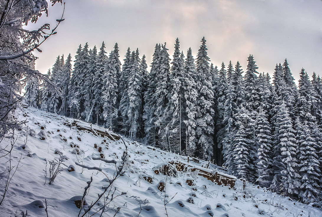 ... ����� ���������  �� PhotoGeek.ru #������ ��� �������