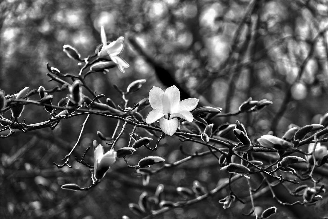 ... ����� ���������  �� PhotoGeek.ru #������ ��� �������