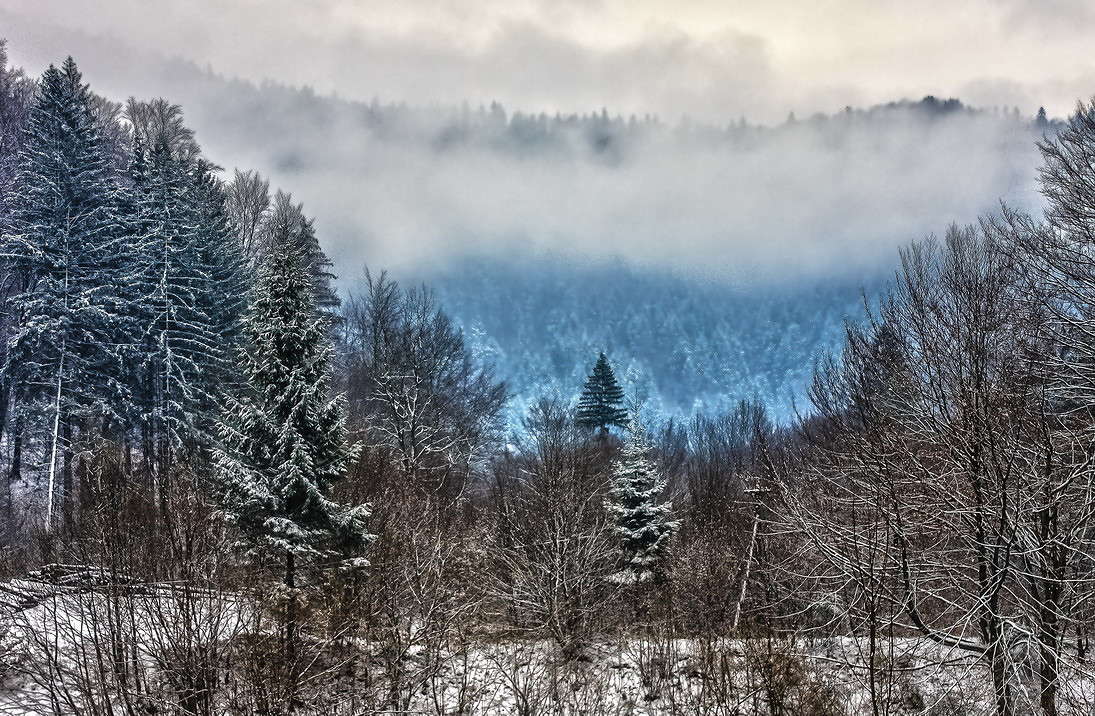 ... ����� ���������  �� PhotoGeek.ru #������ ��� �������