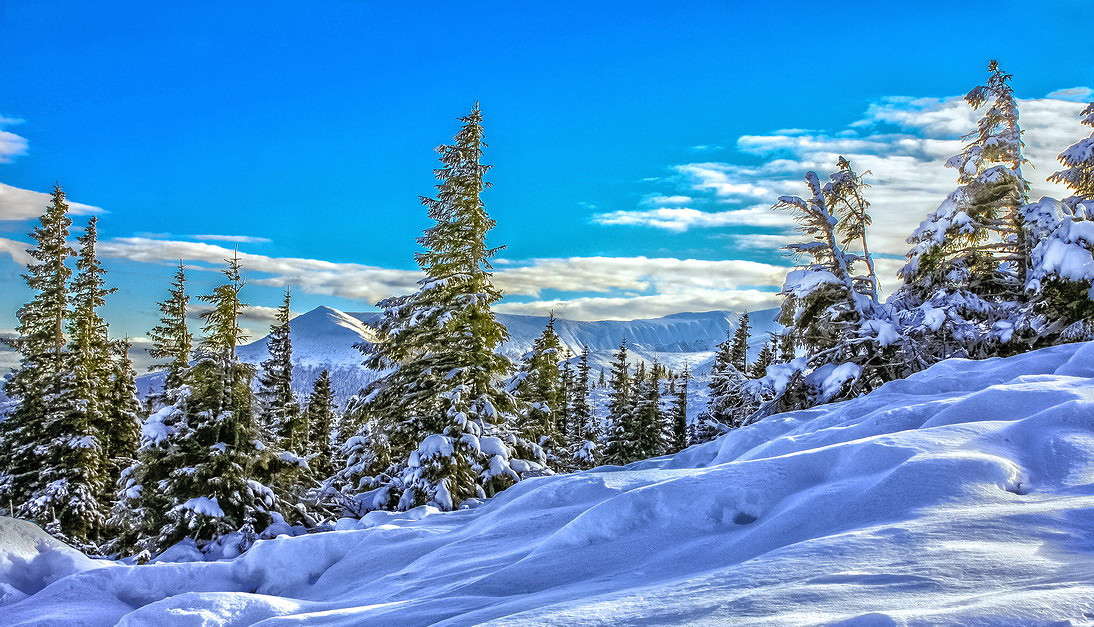 ... ����� ���������  �� PhotoGeek.ru #������ ��� �������