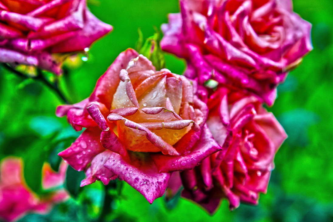 ... ����� ���������  �� PhotoGeek.ru #������ ��� �������