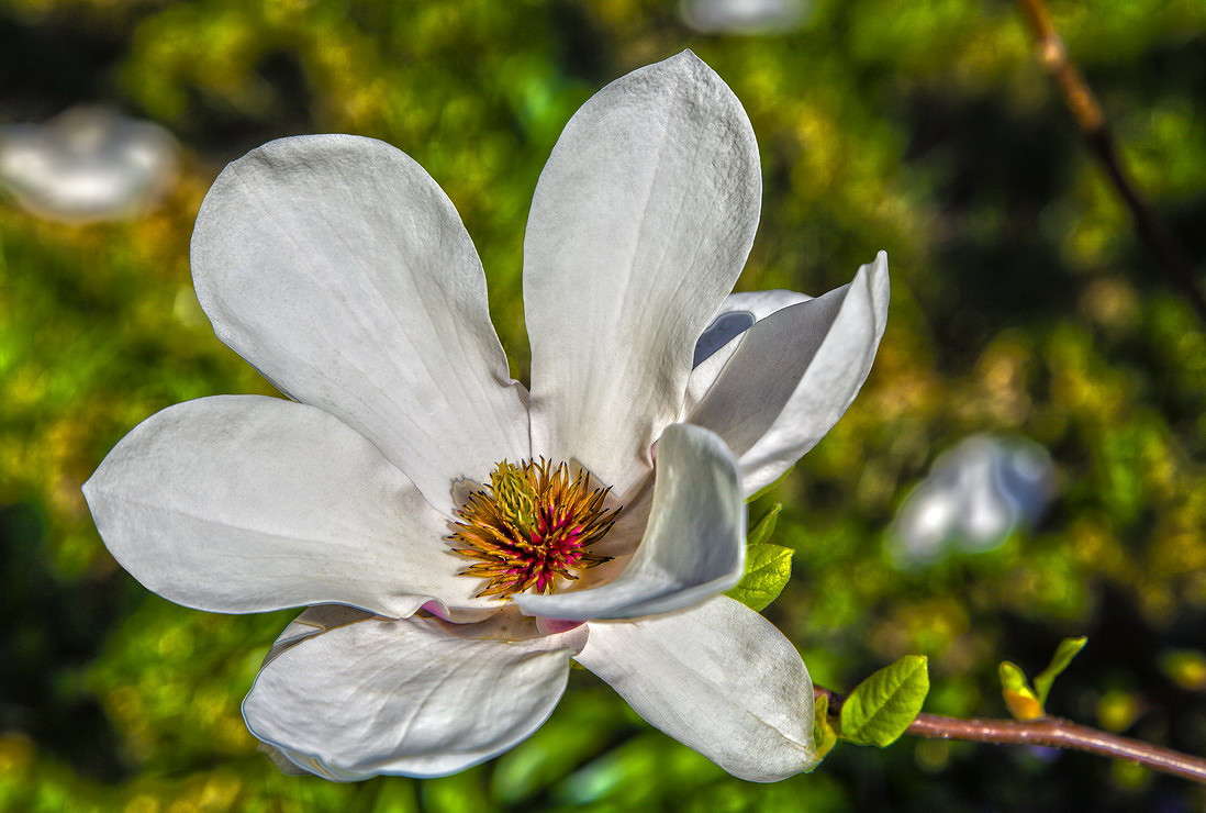 ... ����� ���������  �� PhotoGeek.ru #������ ��� �������