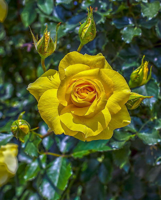 ... ����� ���������  �� PhotoGeek.ru #������ ��� �������