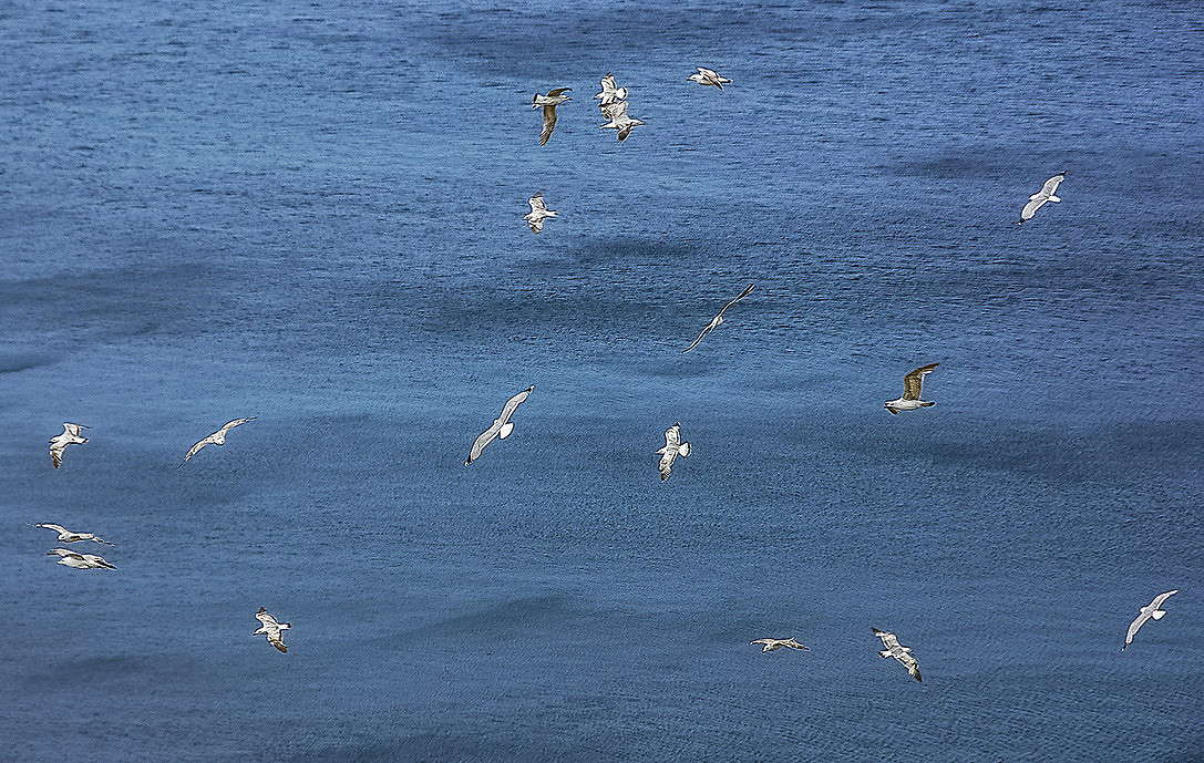 ... ����� ���������  �� PhotoGeek.ru #�������� ���