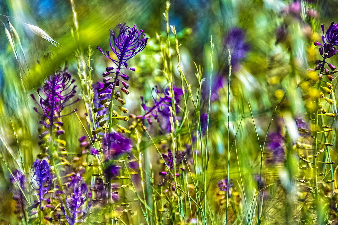 ... ����� ���������  �� PhotoGeek.ru #������ ��� �������