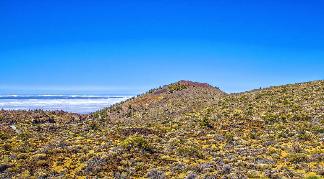 ����� 1500 ����� ���������  �� PhotoGeek.ru #������ ��� �������