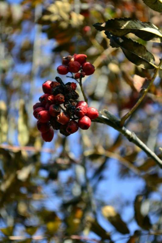 ������ ����� ������ ���������� �� PhotoGeek.ru #������ ��� �������