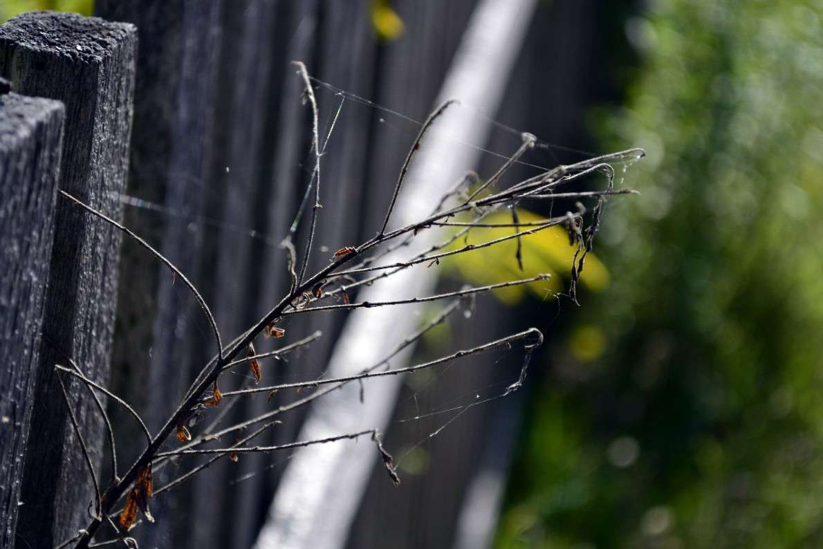 ... ����� ������ ���������� �� PhotoGeek.ru #������ ��� �������