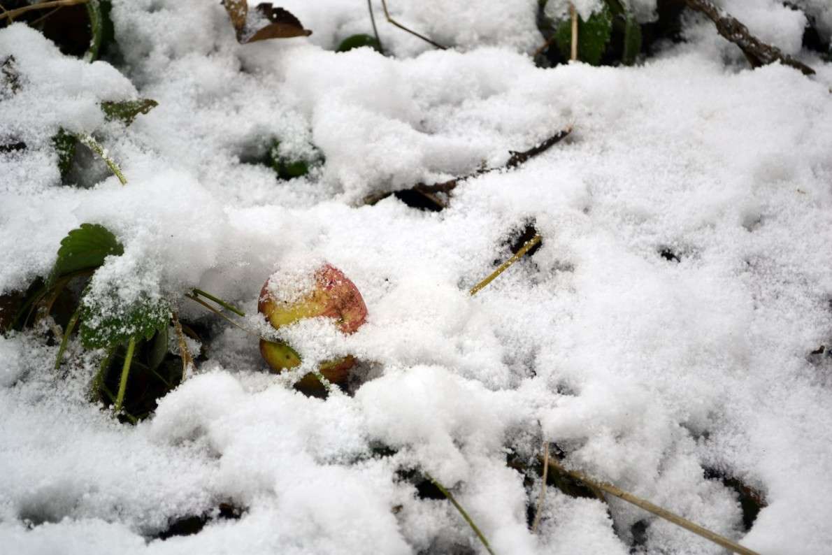 ... ����� ������ ���������� �� PhotoGeek.ru #������ ��� ������� #������