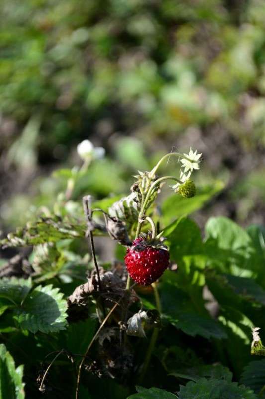 ... ����� ������ ���������� �� PhotoGeek.ru #������ ��� ������� #����� ��������������