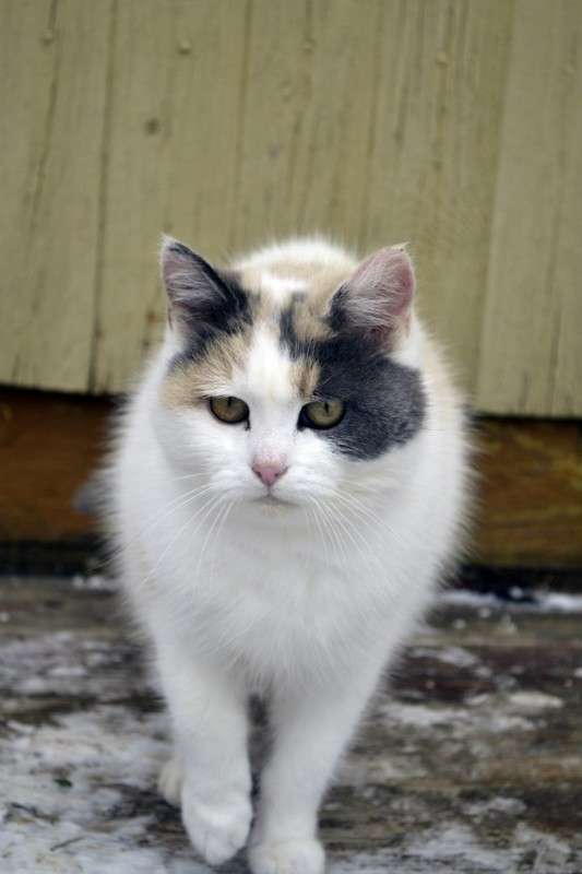 ... ����� ������ ���������� �� PhotoGeek.ru #�������� ���