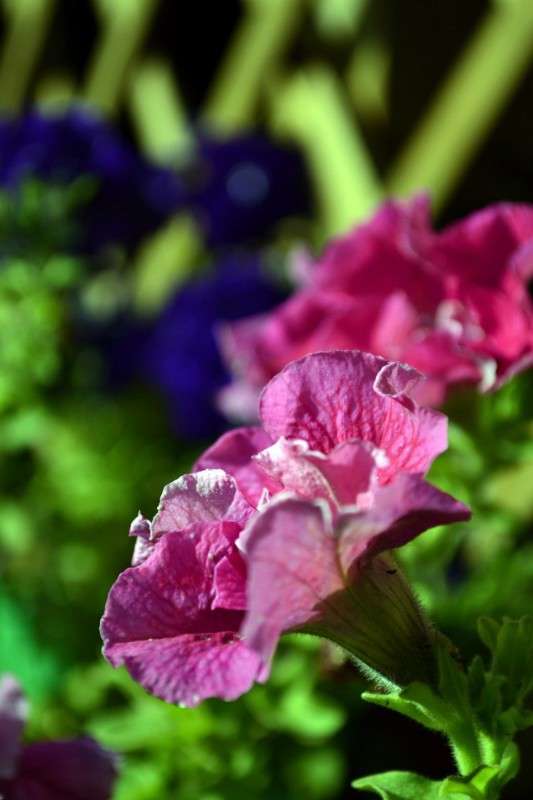 ... ����� ������ ���������� �� PhotoGeek.ru #������ ��� �������