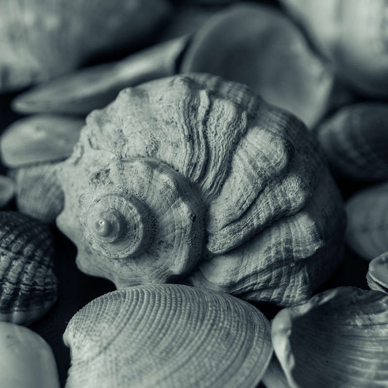 * ����� ���� ������� �� PhotoGeek.ru #�����