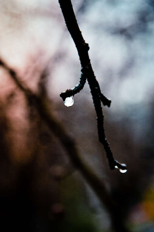 �����... ����� ����� ��������� �� PhotoGeek.ru #������ ��� �������