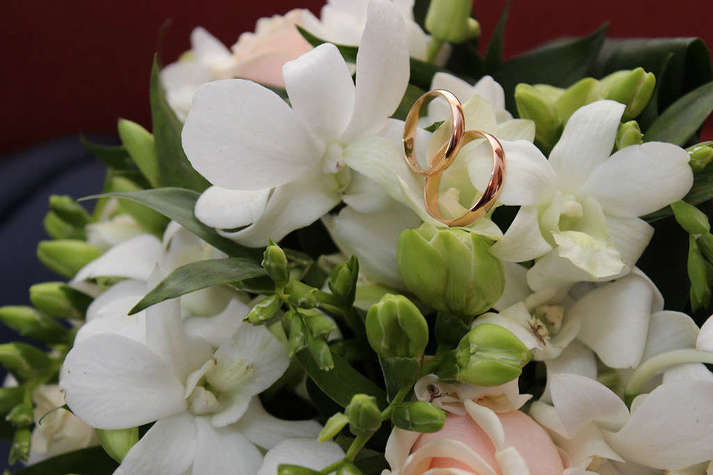 ... ����� ����� ������� �� PhotoGeek.ru #��������� ����������