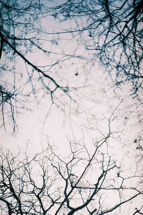 ... ����� Anna  �� PhotoGeek.ru #����� #������ ��� �������