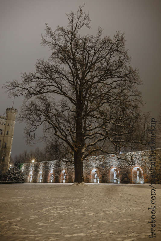 Зимние зарисовки Магдебурга #5 автор Maximilian Buckup на PhotoGeek.ru #Ночь #Город #Архитектура #Germany #Magdeburg #Герамния #Города мира #Городской пейзаж #Дерево #Зима #Снег