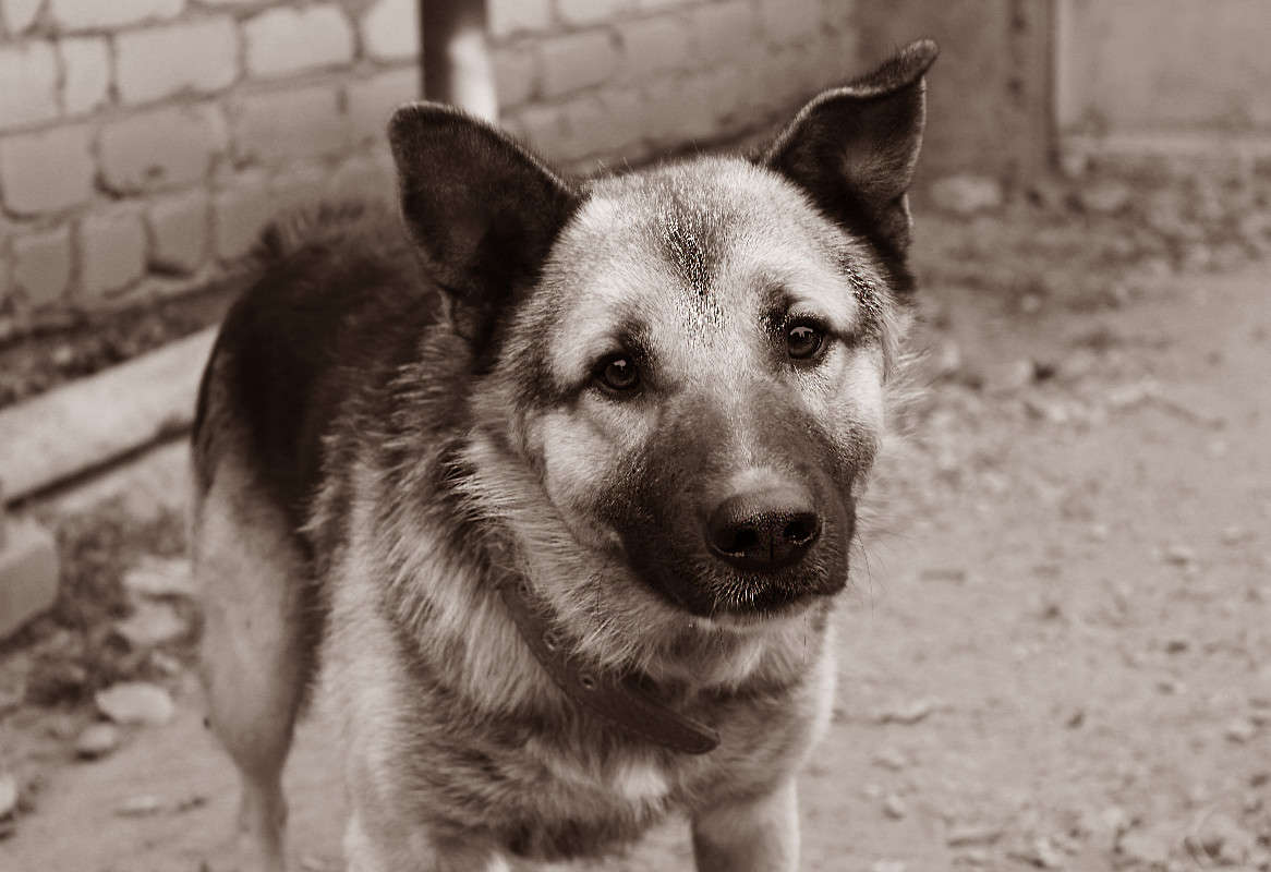 ... ����� Masha Morozka �� PhotoGeek.ru #�������� ���