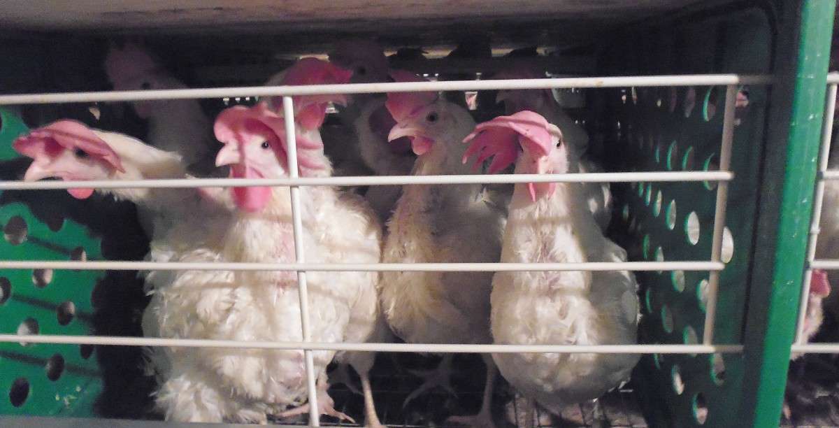 ... ����� �������  �� PhotoGeek.ru #�������� ���