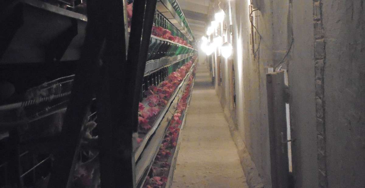 ... ����� �������  �� PhotoGeek.ru #�������� ���