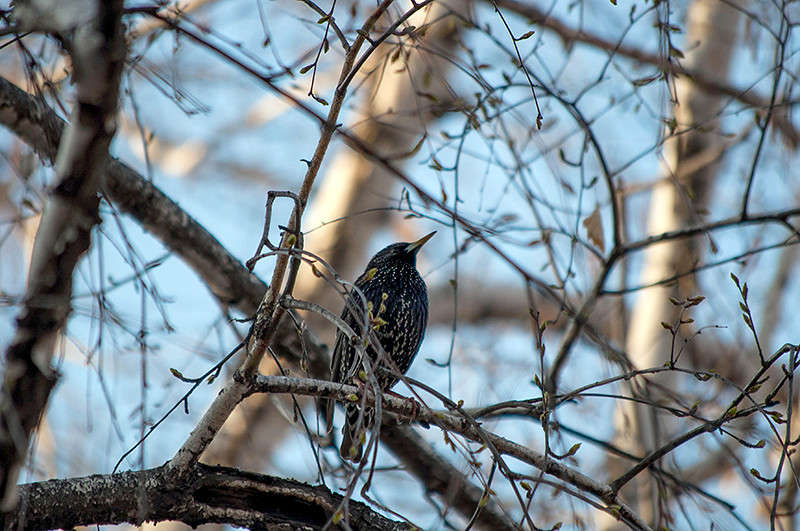 ������� ����� Maria Danileychuk �� PhotoGeek.ru #�������� ��� #������ ��� ������� #����� ��� ��� ��������� #����� ��������