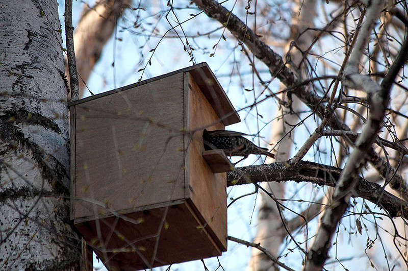 ���� ��� ����? ����� Maria Danileychuk �� PhotoGeek.ru #�������� ��� #������ ��� ������� #����� ��� ��� ��������� #����� ��������