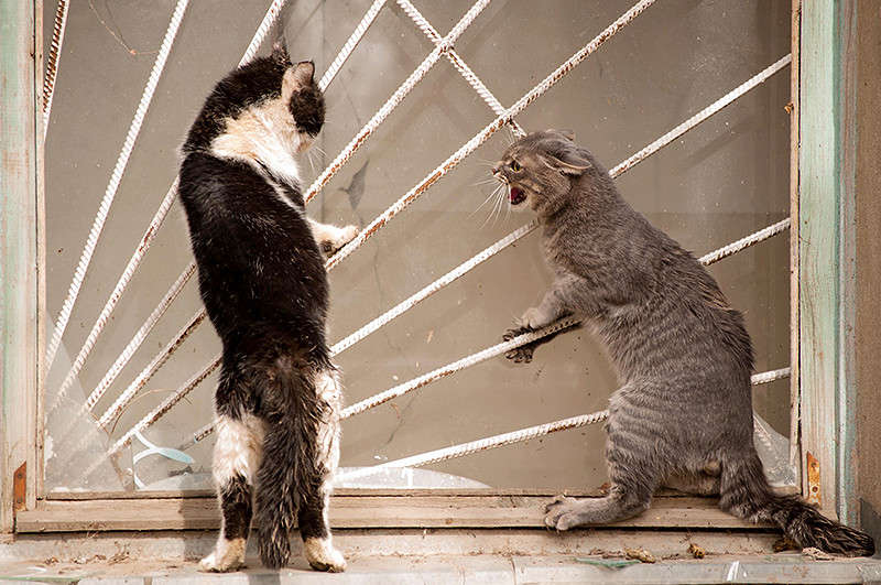 ������ ���? ����� Maria Danileychuk �� PhotoGeek.ru #������� #�������� ��� #�������� #����� ��� ��� ���������