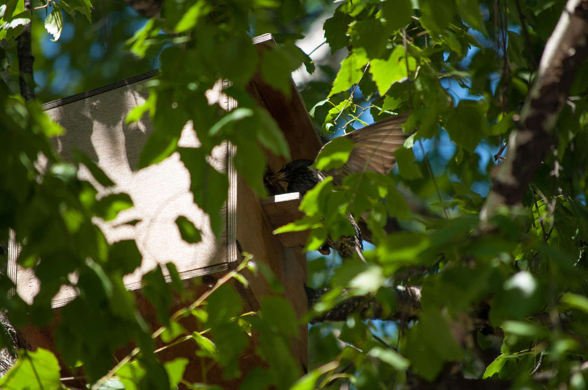 ��������� ����� Maria Danileychuk �� PhotoGeek.ru #�������� ��� #������ ��� ������� #����� ��� ��� ��������� #����� ��������