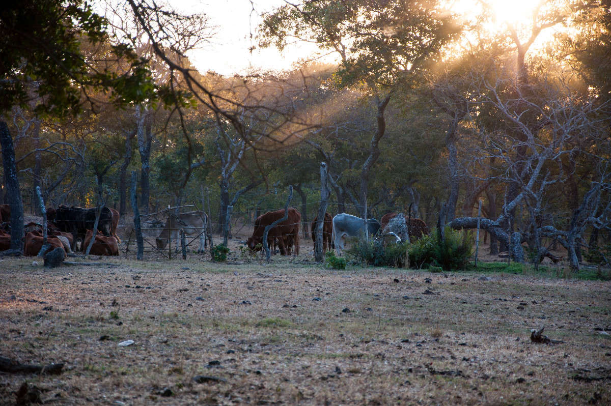 ����������� �������� ����� zumi  �� PhotoGeek.ru #�������� ��� #������ ��� �������