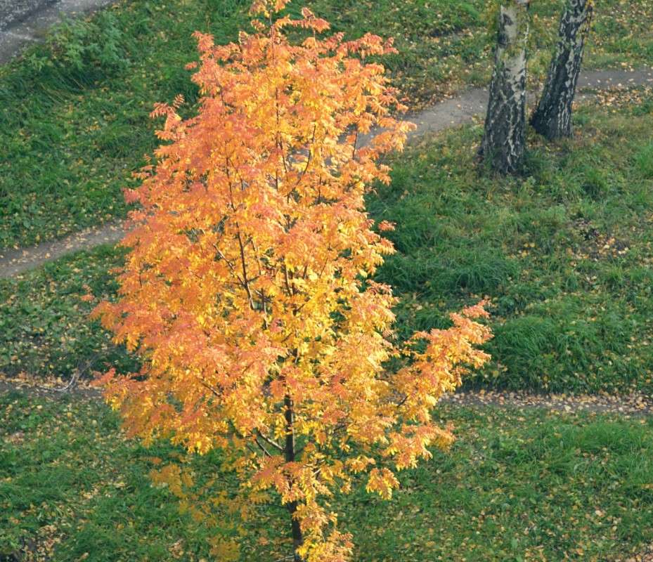 ... ����� ms.frank  �� PhotoGeek.ru #������ ��� ������� #����� ��������������