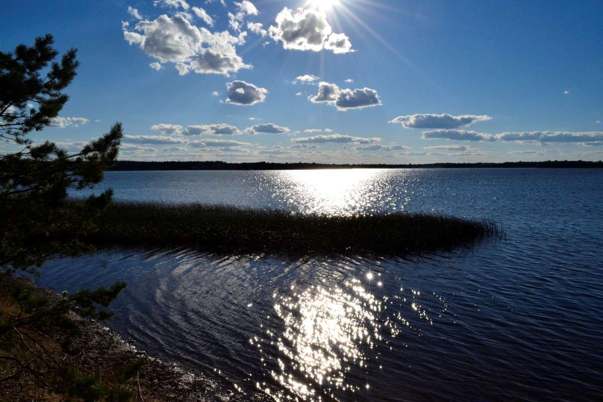 ����, ������ � ���� ����� Oktyabrina Stalmakova �� PhotoGeek.ru #������ ��� ������� #����� �������������� #�������� #������ #����� ��������