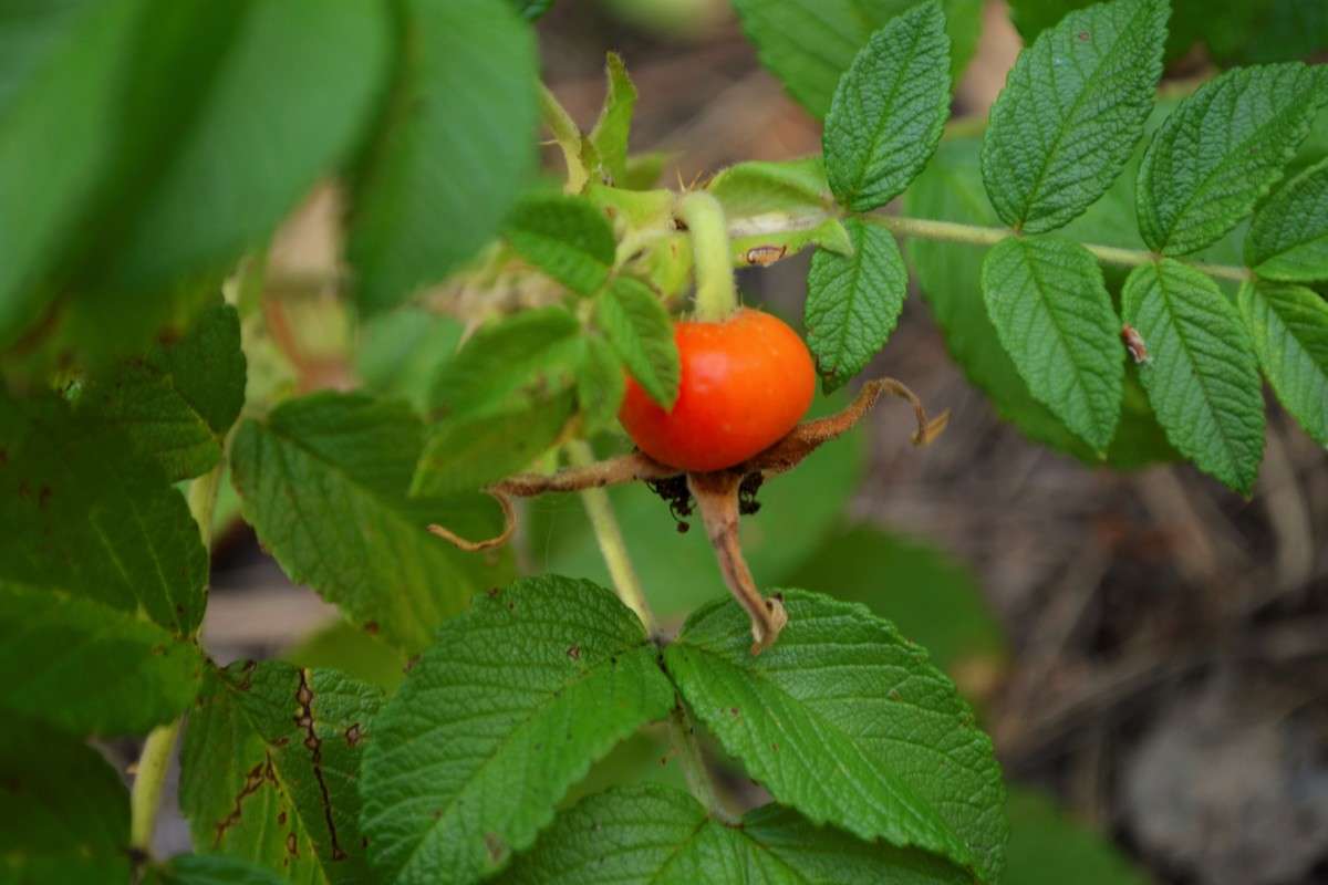 �������� ����� Oktyabrina Stalmakova �� PhotoGeek.ru #����� #������ ��� ������� #����� �������������� #������ #����� ��������
