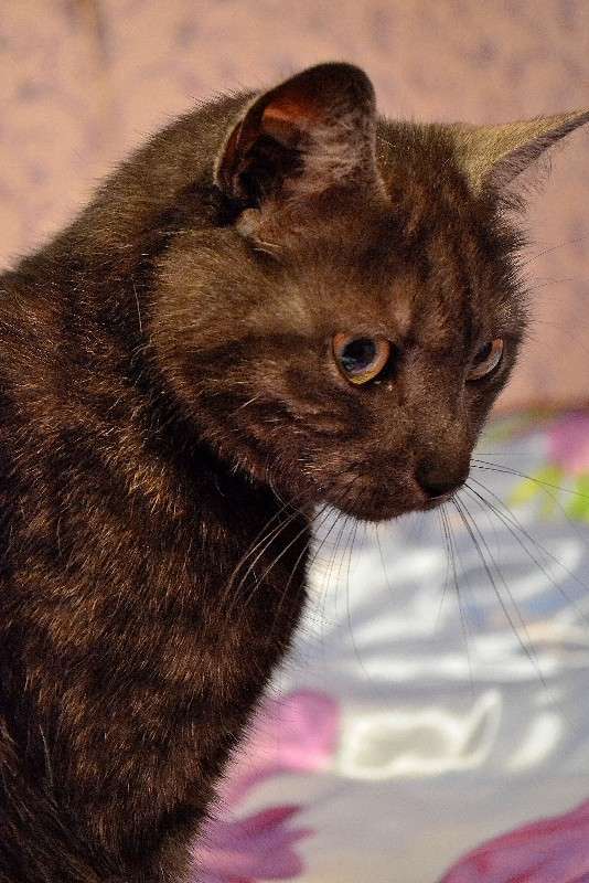 ������ ����� Oktyabrina Stalmakova �� PhotoGeek.ru #�������� ��� #�������