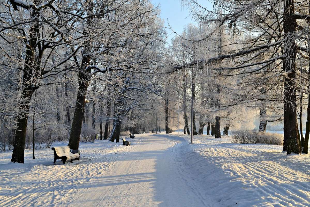 ������ ����� ����� Oktyabrina Stalmakova �� PhotoGeek.ru #����� #������ ��� �������