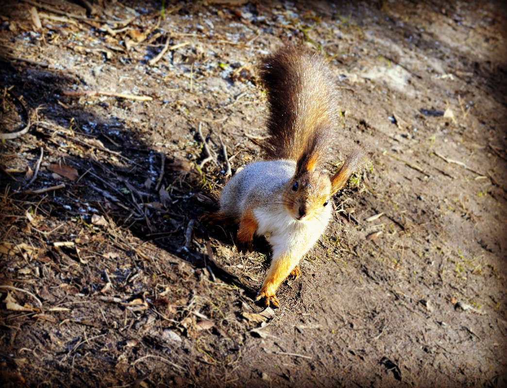 �������� ������ ����� Oktyabrina Stalmakova �� PhotoGeek.ru #�������� ���