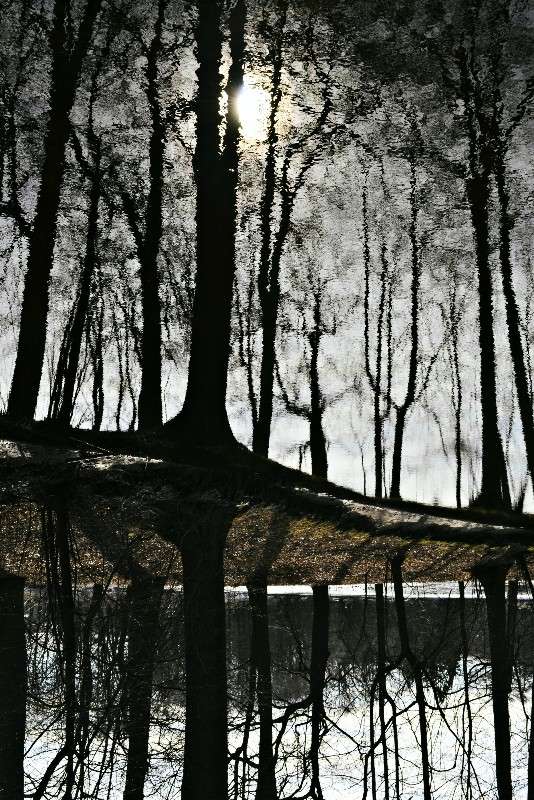 ������� ����� Oktyabrina Stalmakova �� PhotoGeek.ru #����� #������ ��� �������