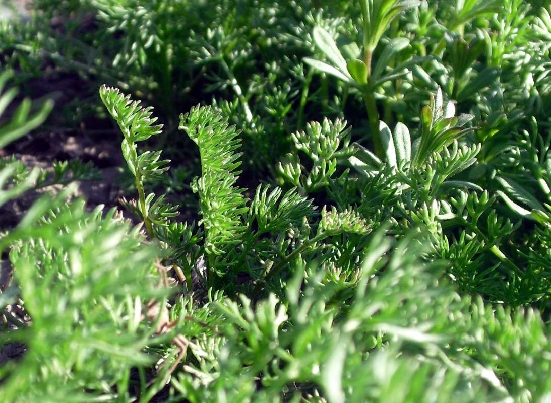 ... ����� Natasha Sveshnikova �� PhotoGeek.ru