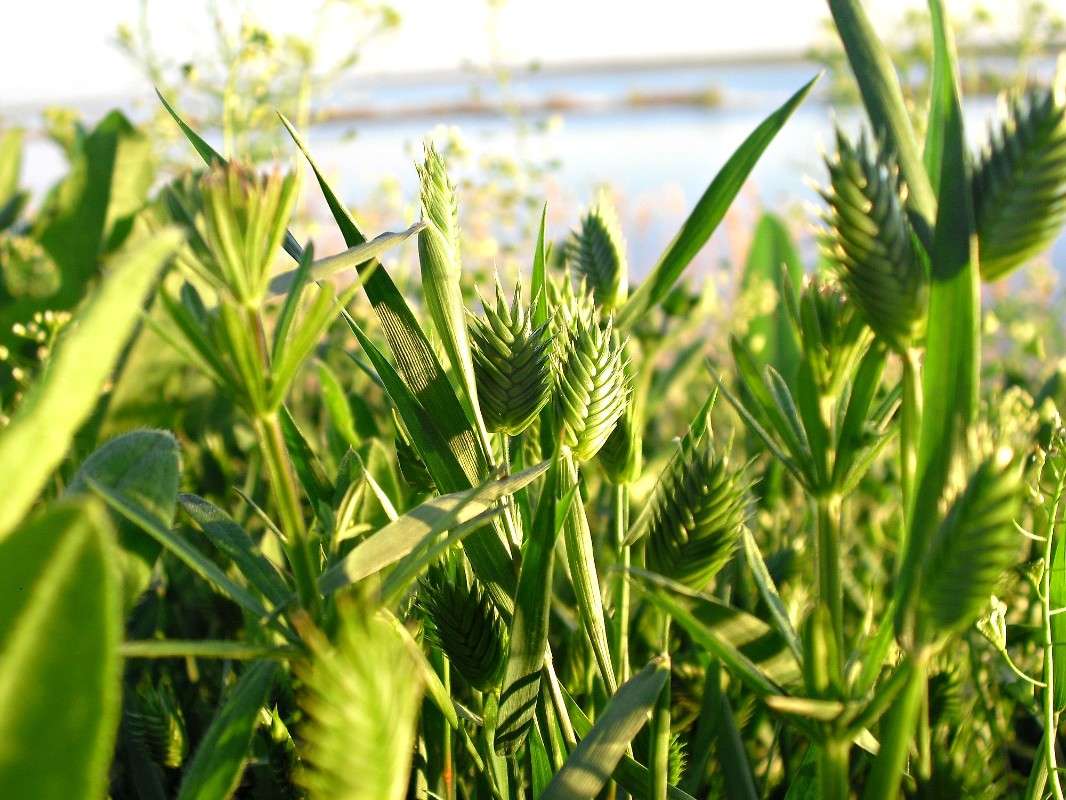 ... ����� Natasha Sveshnikova �� PhotoGeek.ru #������ ��� �������