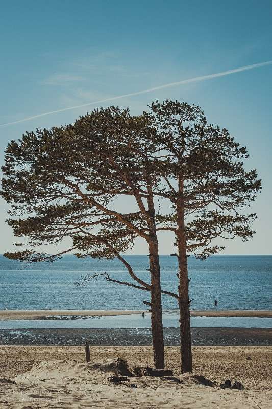 ����� ���� ����� ���������  �� PhotoGeek.ru #������ ��� �������