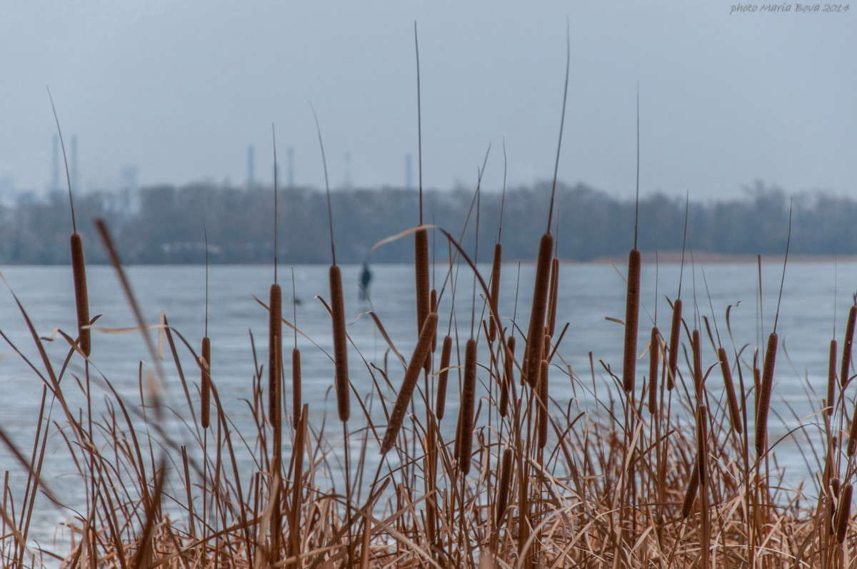 � ������ ����� ����� ���� �� PhotoGeek.ru #������ ��� ������� #��������